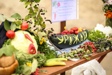 Изображения