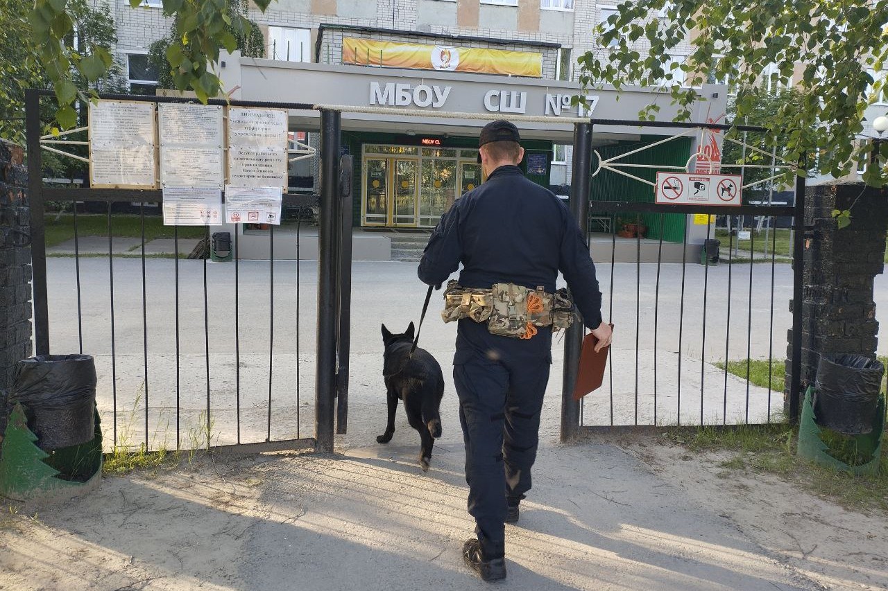 Изображения