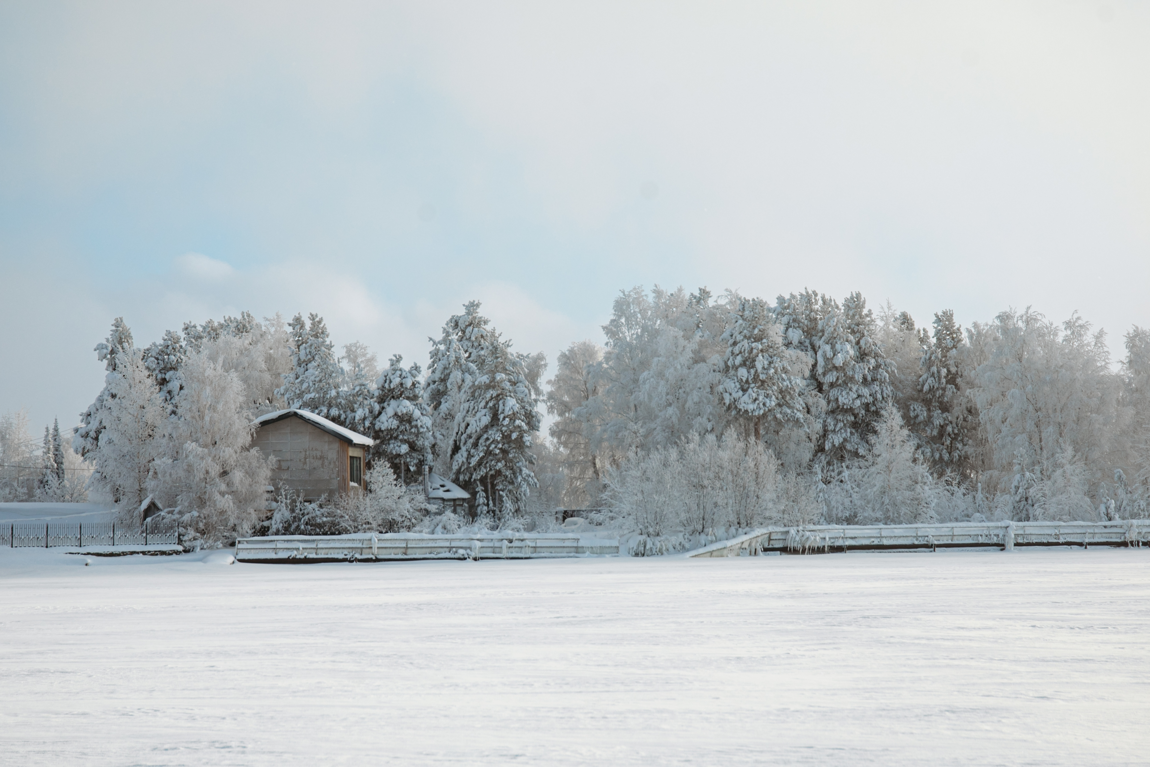 Изображения