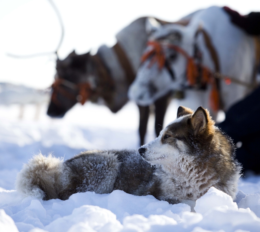 Изображения