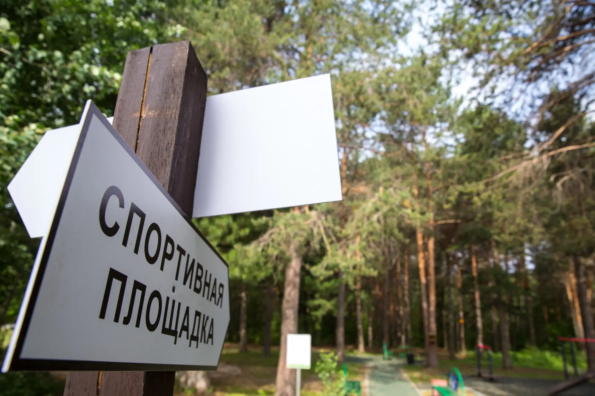 фото спортивной площадки