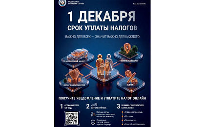 О сроках уплаты налогов за 2025 год
